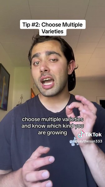 5 Expert Tips to Grow Amazing Strawberries 🍓