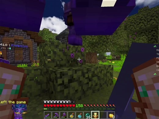 phantoms be moving like ww2 aircrafts #beafsmp #beesmp #minecraft