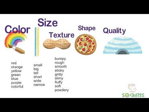 Type of Adjectives | Adjectives Color, Size, Texture, Shape, Quality | How to use the adjectives.