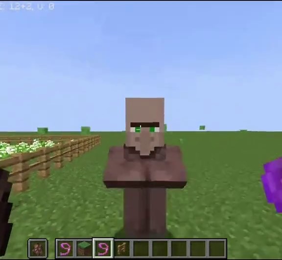 Becoming a Minecraft Policeman: Tips and Tricks for Black Villagers