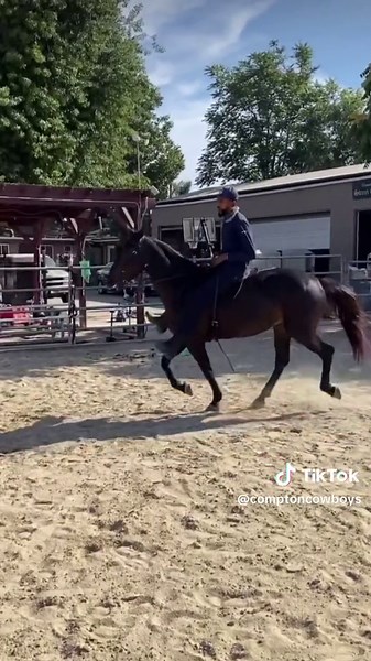 What they don’t show you about Compton, California #comptoncowboys #horse #horsesoftiktok #horserider #farmlife #ranchlife #cowboybebop #cowboyshit #rodeo #horsegirl #rodeostyle #countryboy #western #westernfashion #horseriding #countrylife #blackcowboy #equestrian #equestrianlife #equestriansoftiktok #blackcowboys #horses #bullriders