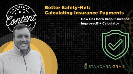 Better Safety-Net: Calculating Insurance Payments 4/20/26 | Michael Leffler