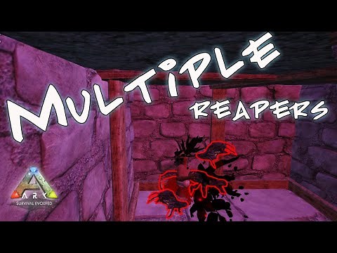 Multiple Reapers from ONE Queen!! Ark How to tame a reaper Queen Tips and Tricks 2020!!