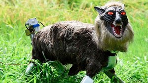 Super Monster Wolf, el espantoso lobo robótico que protege los cultivos en Japón