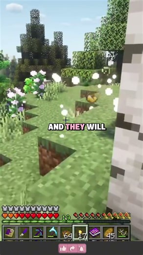 STARBUNCLE IS REAL!!