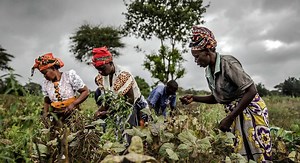 LIVE: World Food Day