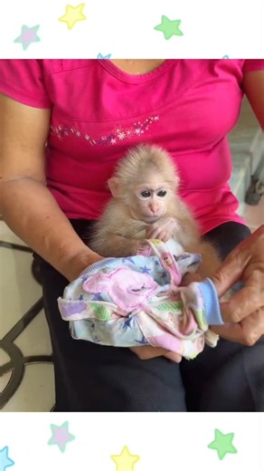 Monkey Lala Gets Ready in Her Cutest Outfit 🐒💗 Look at Her Tiny Dress! #shorts