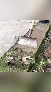 👉 Alegerea populară cu REDUCERE MARE👈 🚀 Ia-l cât mai sunt stocuri! Cumpără aici👇 | Superzebra