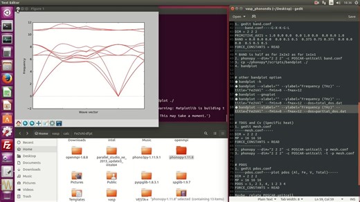 VASP视频教程-DFPT计算