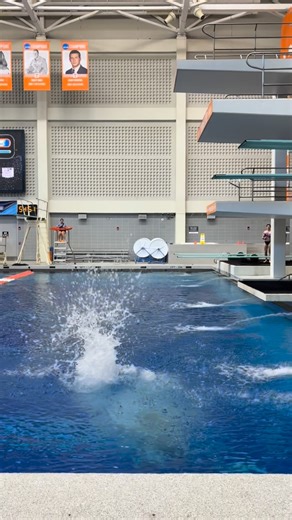 Lyle Yost - Diving on Instagram: "Do y’all remember Stuart Little??"