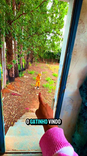 MUNDO DA ANGÉLICA 2 no TikTok