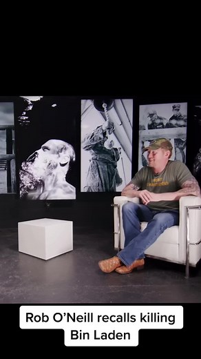 American Hx (@americanhistoryxx)’s videos with original sound - American Hx