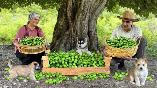 363K views · 13K reactions | Hello! Today we harvesting wild walnuts in our mountain village and making a special walnuts jam! You we see charming and easy process and our peaceful life as hermits!❤️ #village #jam #walnut | Faraway Village Family | Facebook