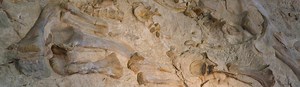 Dinosaur National Monument (U.S. National Park Service)