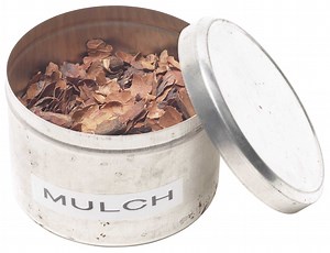 Care & Feeding of a Privet Hedge