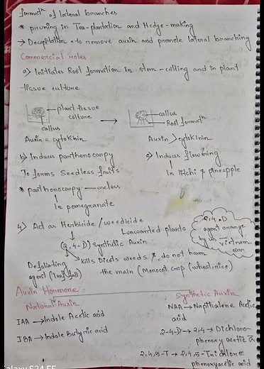 plant growth and development handwritten notes||class-11||
