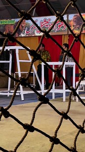 41K views · 1.4K reactions | Lions item | Pk Circus | Facebook