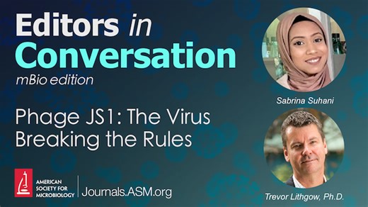 Phage JS1: The Virus Breaking the Rules