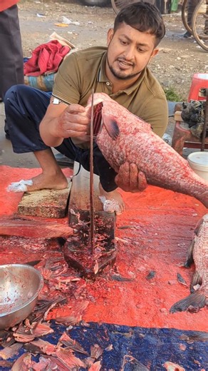 WOW!! Popular Big size Katla fish cutting expert #shorts