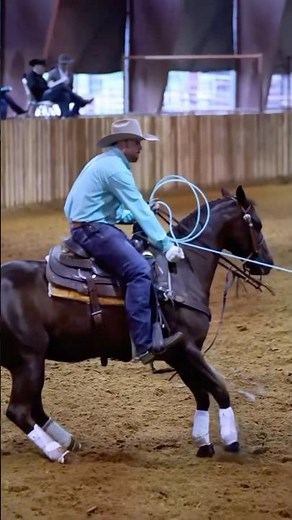#teamroping