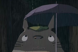 ToToro(1988) 🤍 #totoro #totoroedit #ghibli #ghiblistudios #ghiblimovie #ghibliedit #anime #animeedit #edit #fy #foryou #akihiko_anime