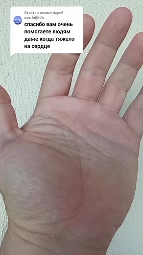 Exploring Hand Gestures: A Close-Up Perspective