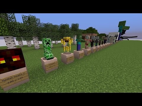 Exact Minecraft Mob Sizes