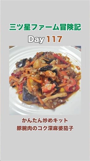 【Day117】かんたん炒めキット 豚腕肉のコク深麻婆茄子｜三ツ星ファーム毎日生活