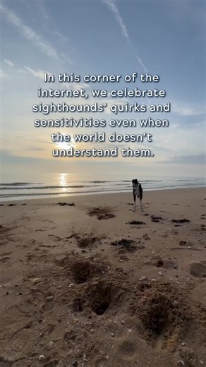 Understanding Sighthound Behavior and Support