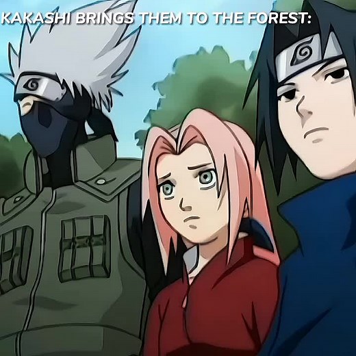 Kakashi Protects Sakura and Sasuke in the Forest Mission