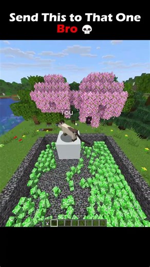 Send This to That One Bro #minecraft #shorts