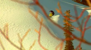 Some 2010 action | Nimbus Independent | Eric Pollard