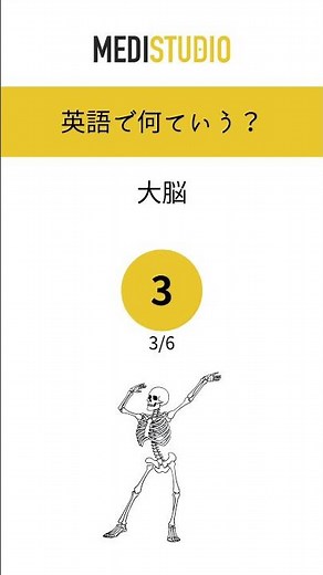 医療英語クイズ #95人体各器官の名称(脳編)｜体の部位の名称をどこまで英語で言える？ #看護師 #医療英語 #医療英語