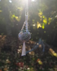 74 reactions · 4 comments | Tiny snail shell macrame hanging with polymer clay succulents | Moon Lighting | Facebook