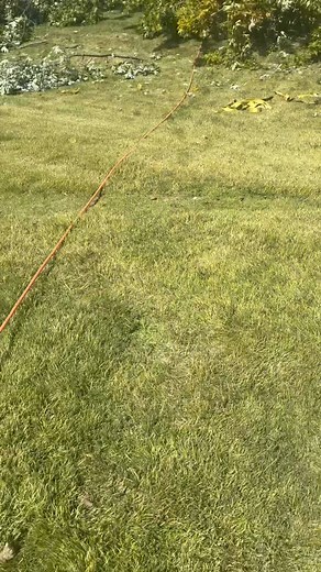 H&M Tree Services on Reels | Facebook