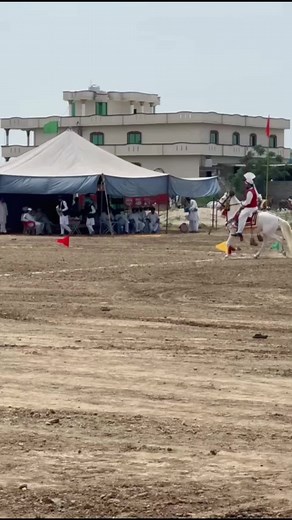 Equestrian Event Highlights: Horse and Rider Performances