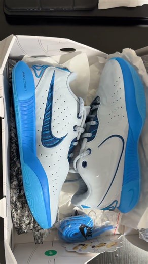 LeBron 21 Textile Basketball Shoes Blue 🩵✨