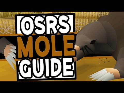 The Ultimate Giant Mole Guide in OSRS (2020)