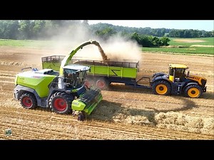 Chopping Wheat Straw with a NEW Claas Jaguar 1200 Forage Harvester | Zimmerman Family Harvesting