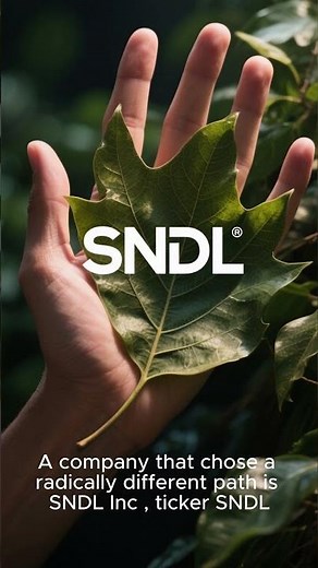🤔 Cannabis, Liquor, and Banking? The Wild Strategy of SNDL ($SNDL)