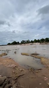 WATCH | MASHISHIMALE COMMUNITY GATHERED ALONG SELATI RIVER BANKS PRAYS FOR MISSING TEENAGERS SWEPT AWAY BY FLOODS The missing teenagers have been identified as Mathlatse Shai (15) and Tshepo Shai (17). According to reports, the teenagers were playing near the river banks when rising water levels and strong currents swept them into the river. Read full story in the comment. | Tzaneen Voice