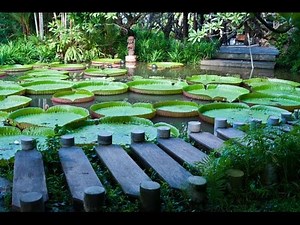 Zen Meditation Music, Relaxing Music, Music for Stress Relief, Soft Music, Background Music, ☯2405