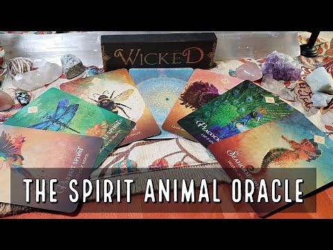 The Spirit Animal Oracle Review