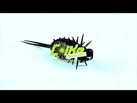 コイケポッパーフロッグ