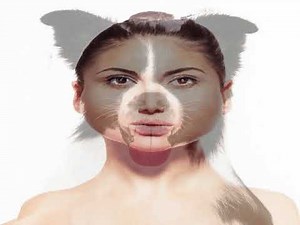 Woman transforms into Border Collie.