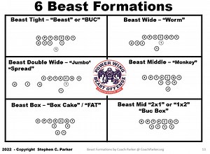 Beast Formations 6 Original Proven 1994 Top Youth Formations
