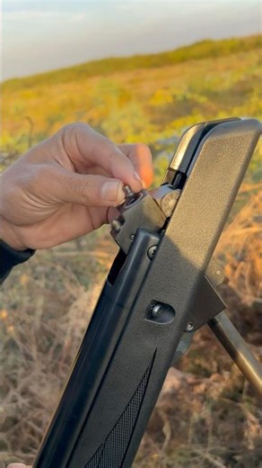 Best Airgun Pellets 🎯🔥 | Accuracy & Power Test