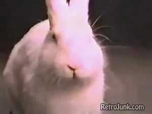 24K views · 844 reactions | bok-bok-bok-bok-bok-bok-bok-bok-bok-bok-bok-BAWK! THANK YOU EASTER BUNNY! | Vintage Los Angeles | Facebook