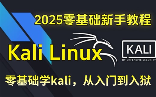 【Kali Linux/虚拟机】2025年最实用kali渗透教程，带你从入门到入狱 kali linux | kali渗透 | kali教程