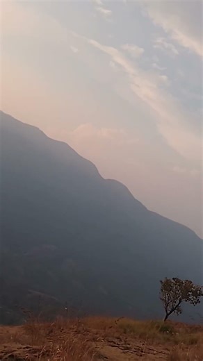 #kodaikanal #jeep off road safari# Roja Jeep and pickup service contact number 98425 04229 #